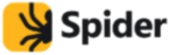 Spider logo